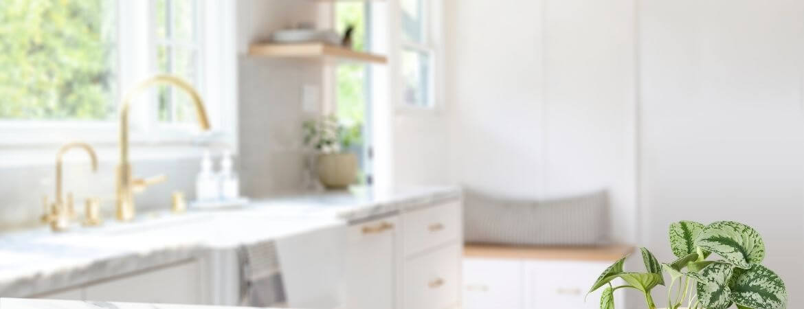 Çizilmeyen Mutfak Tezgahı Satın Alırken Nelere Dikkat Edilmeli?